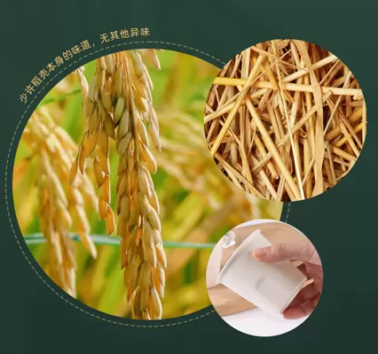 Biodegradable Material Application Plan