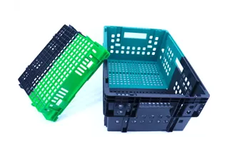 Dual-Color Transport Box
